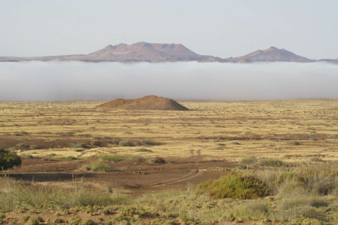 Low lying fog - Kuidas Camp