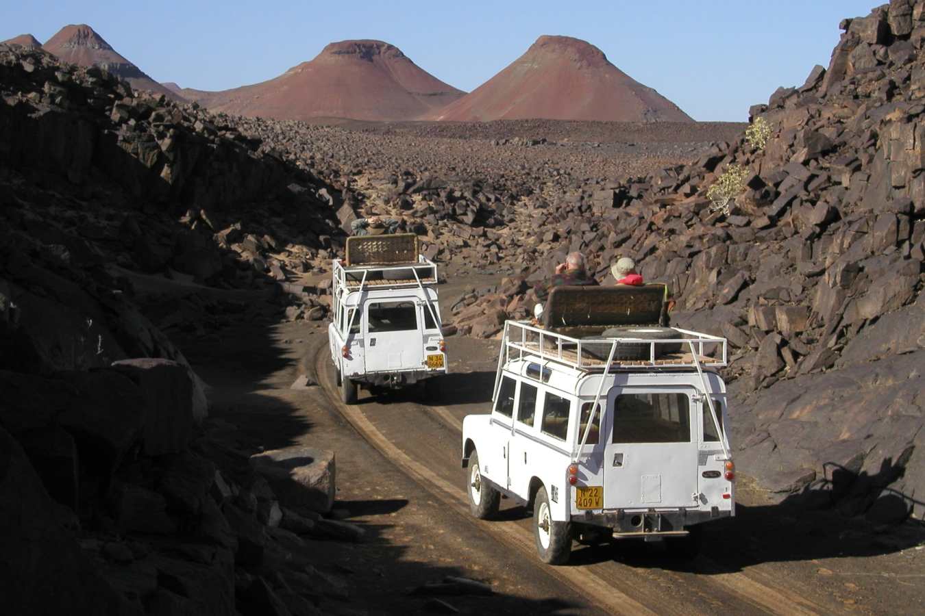 Game Drive - Kuidas Camp