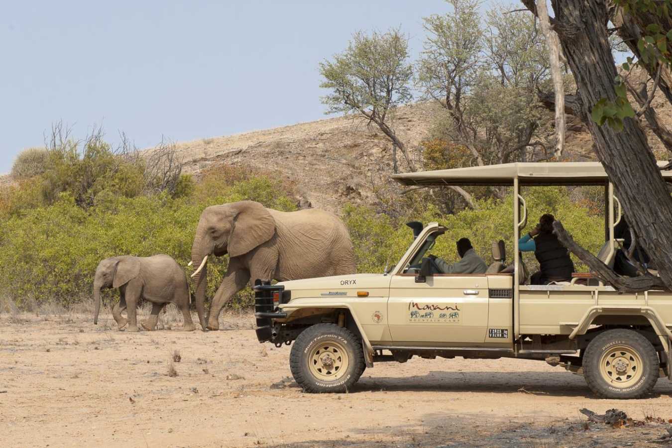Elephant viewing - Mowani Mountain Camp Safari