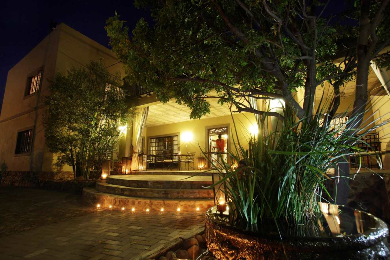 Exterior - Olive Grove