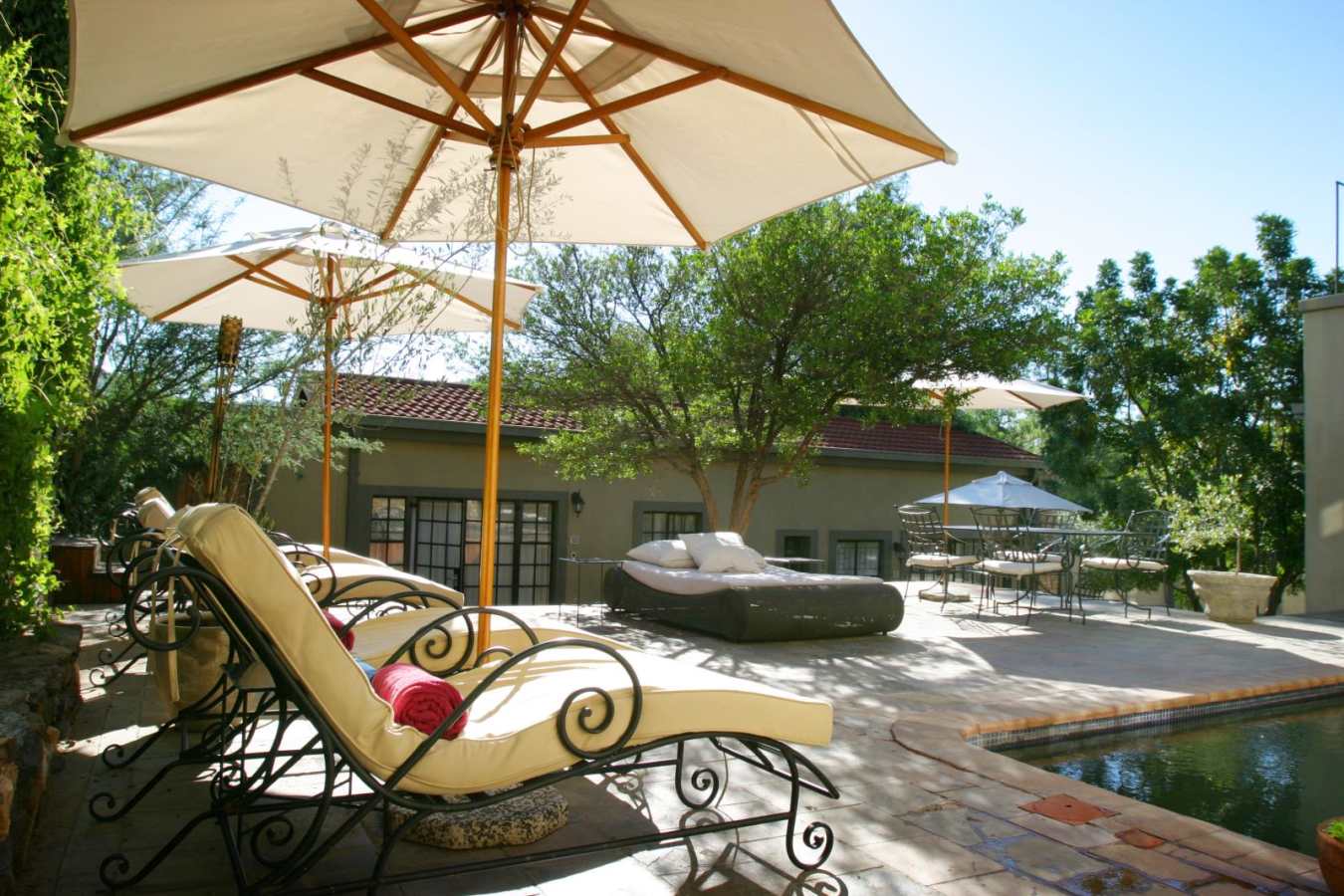 Pool area - Olive Grove