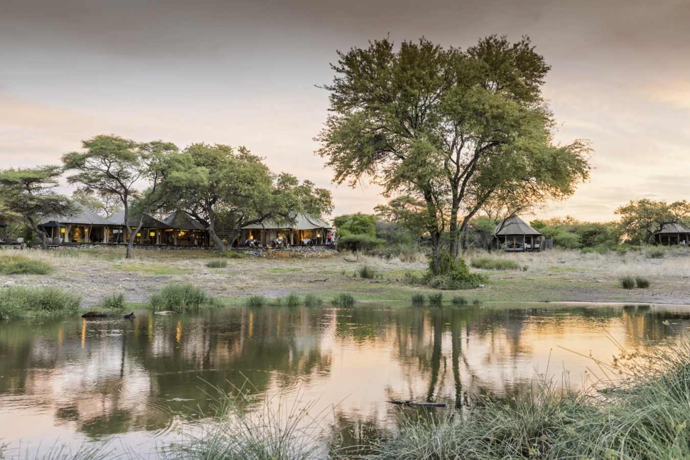 Watering hole - Onguma Tented Camp