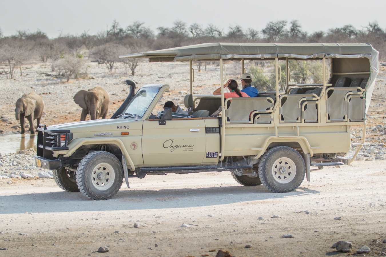 Game drive