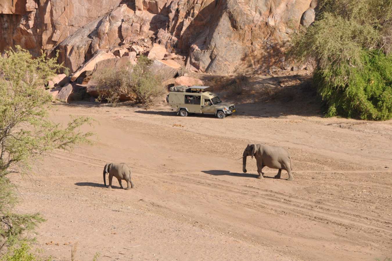 Viewing elephants - Ozondjou Trails