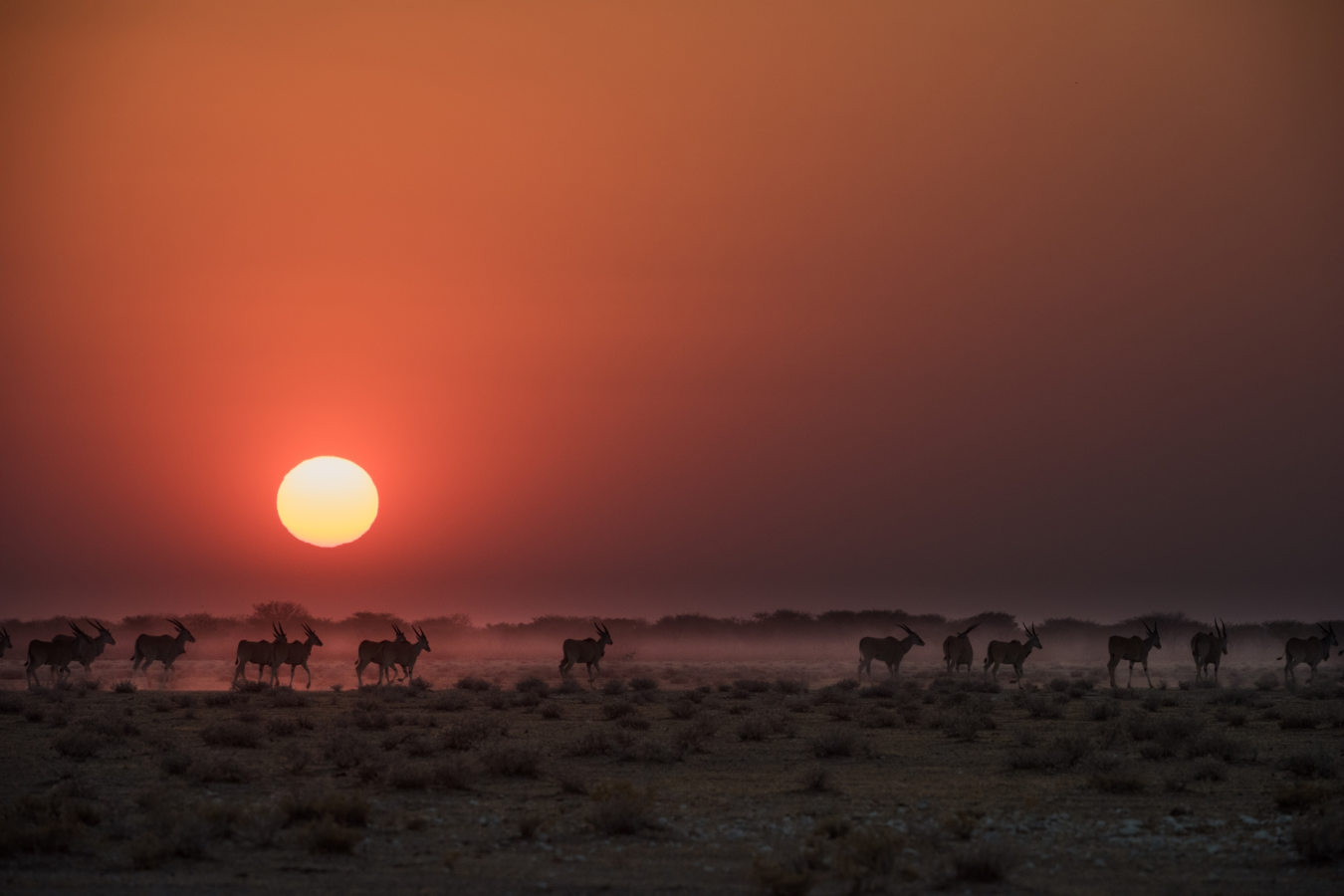 Sunset over the plains - Safarihoek Lodge