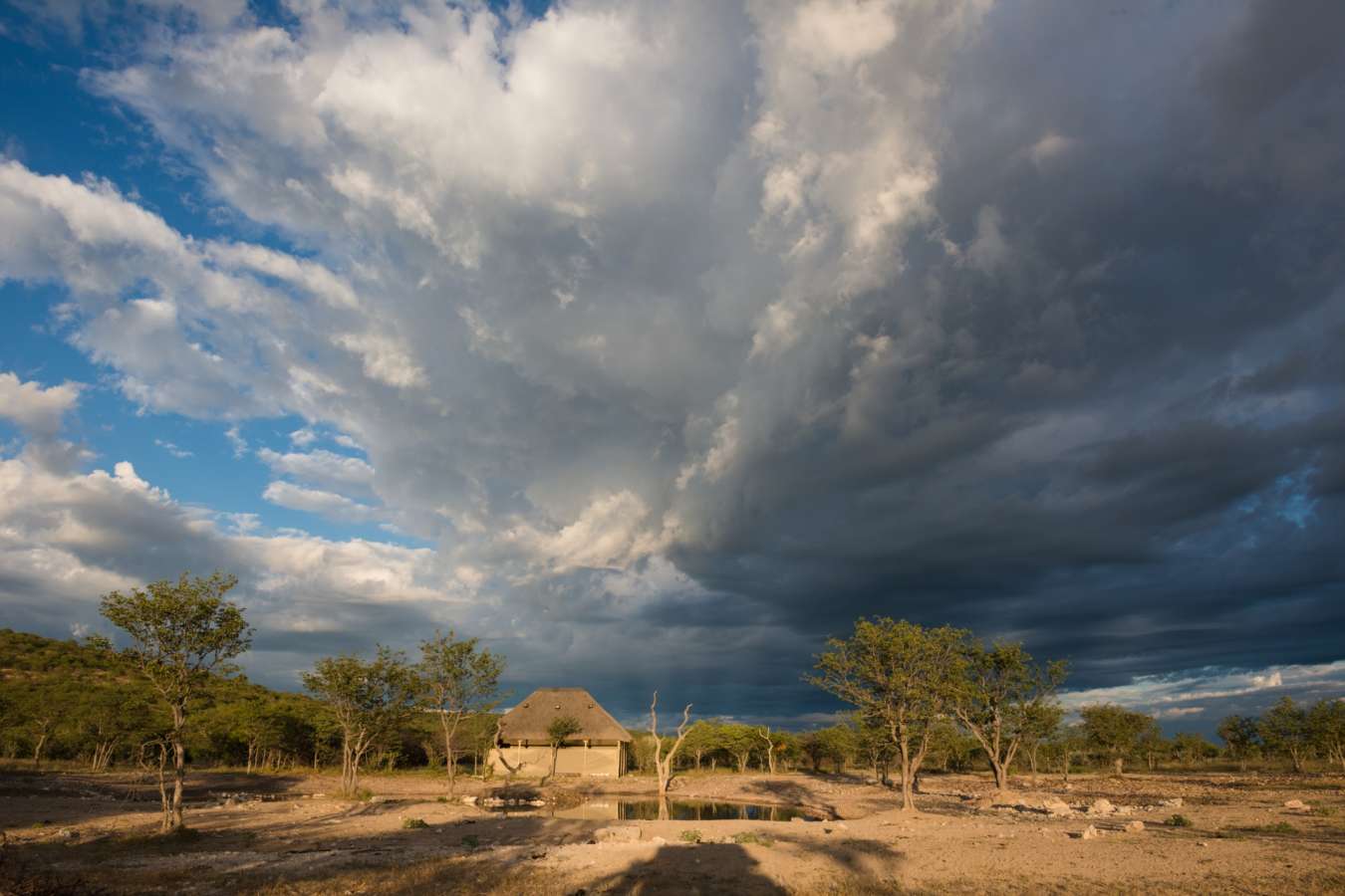 Lodge and watering hole - Safarihoek Lodge
