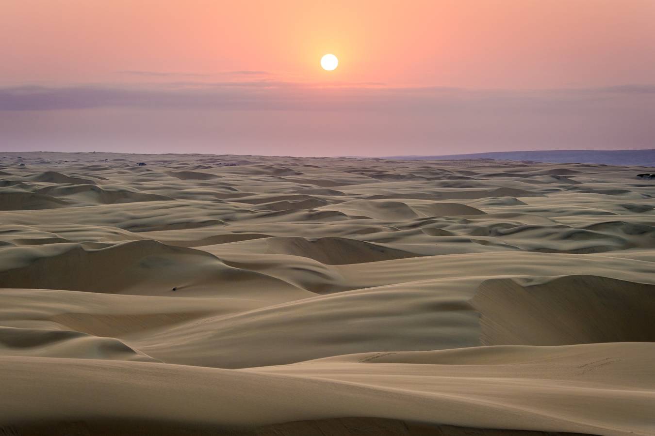 Desert landscapes - 