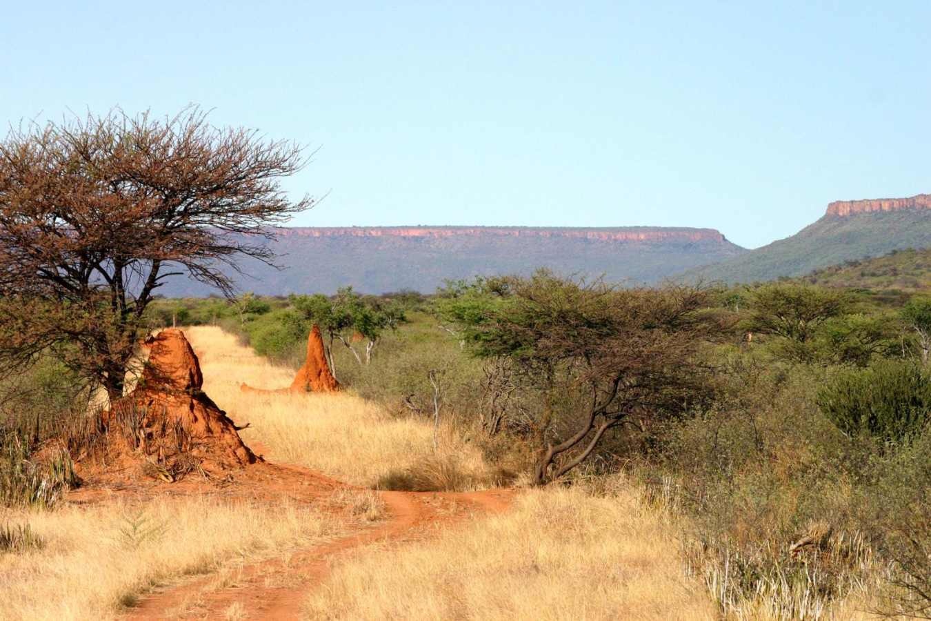 Landscape at the Waterberg Wilderness Lodge