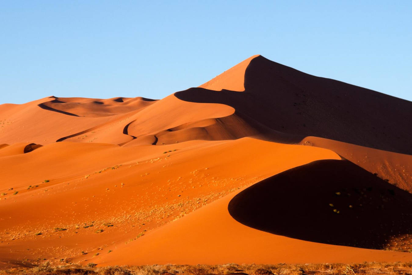 Desert Landscape
