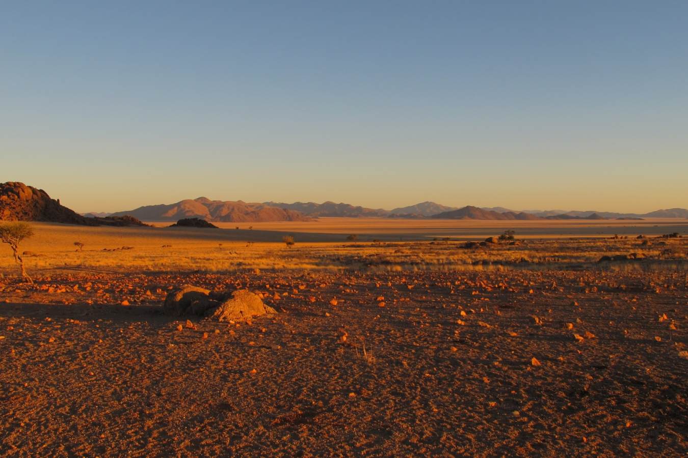 Landscape