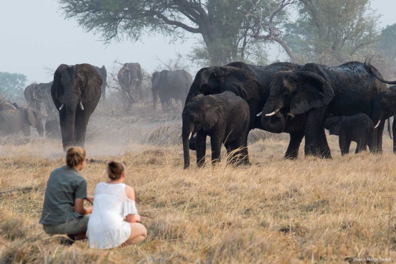 Walking safari in the Caprivi