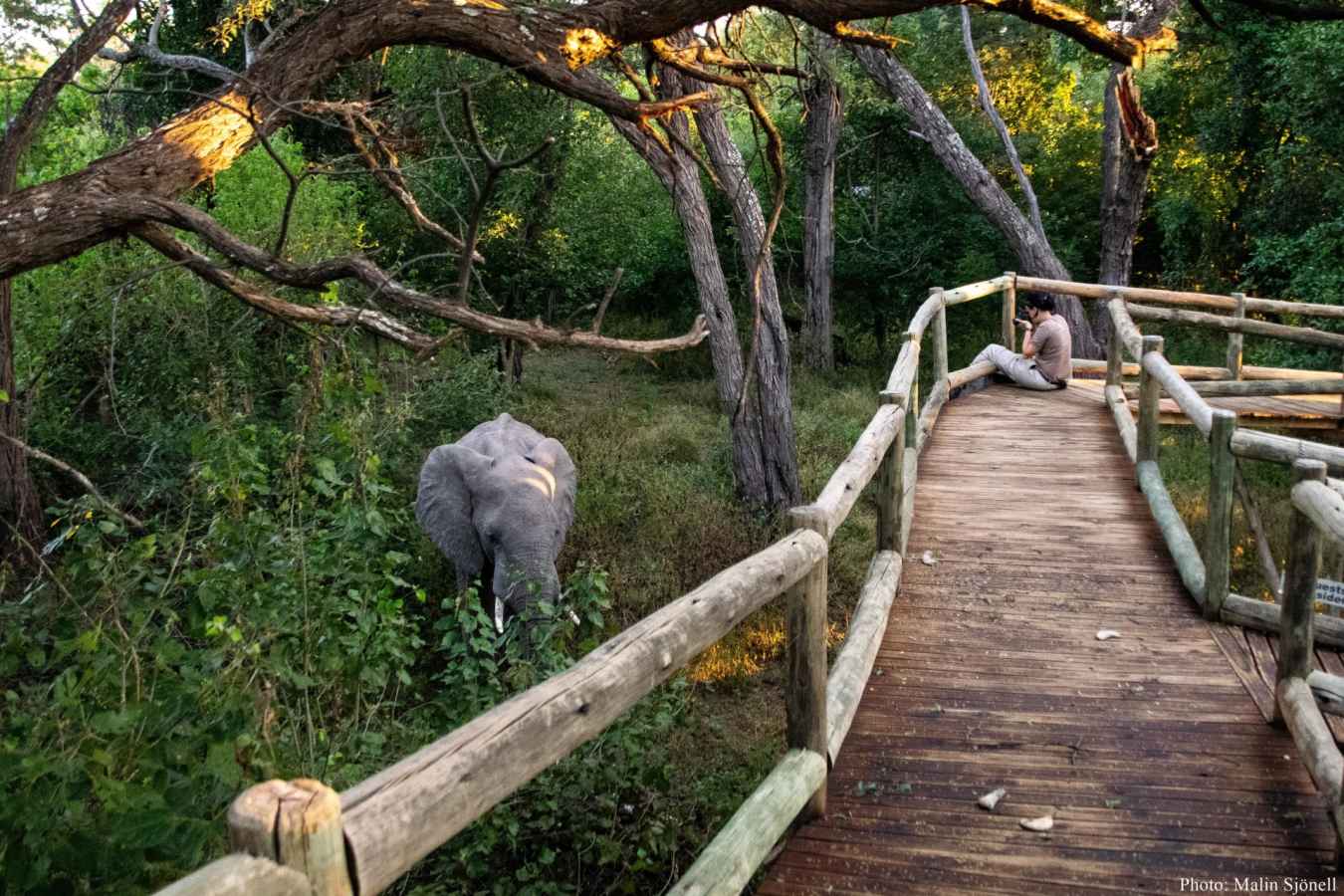Sightings from the camp