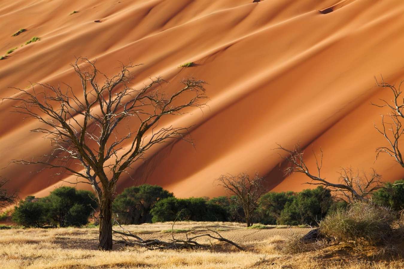 Sossusvlei