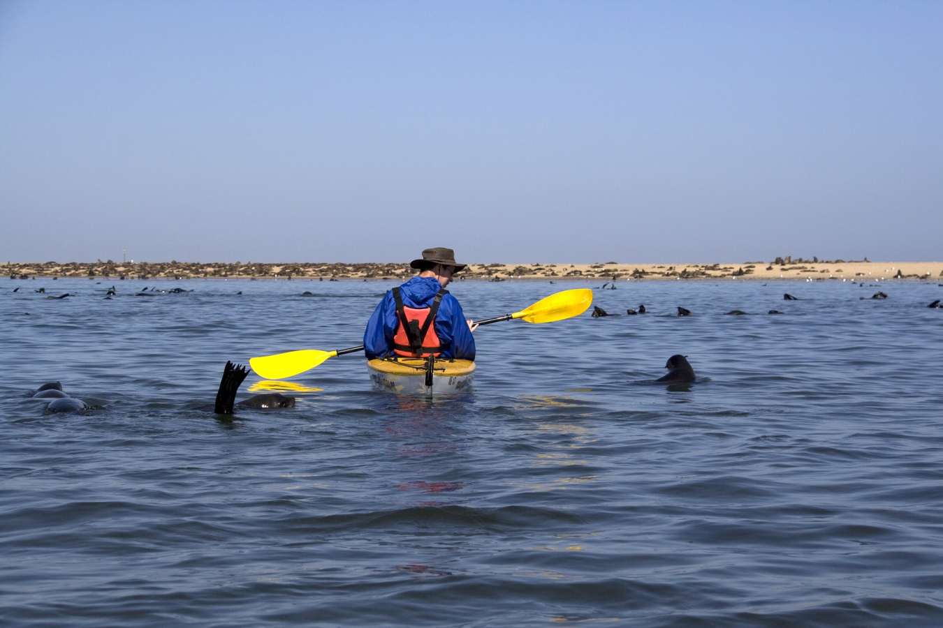 Kayaking with seals - Namibia for Teenagers