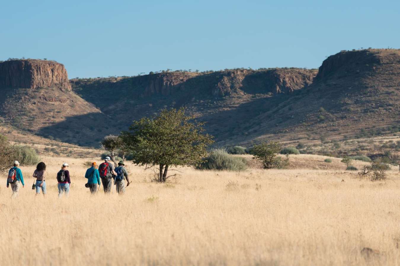 Walking Safari - Off The Beaten Track Namibia
