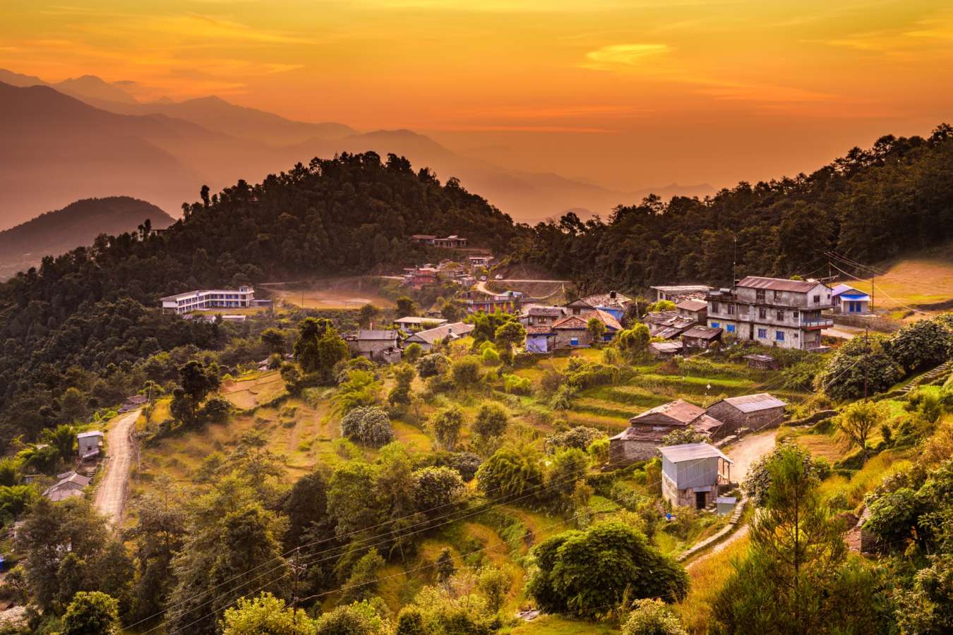 Basanta Lodge  - Basanta Lodge