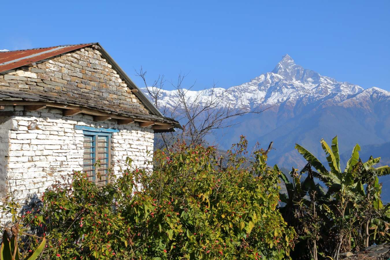 Views along Annapurna Range - Basanta Lodge