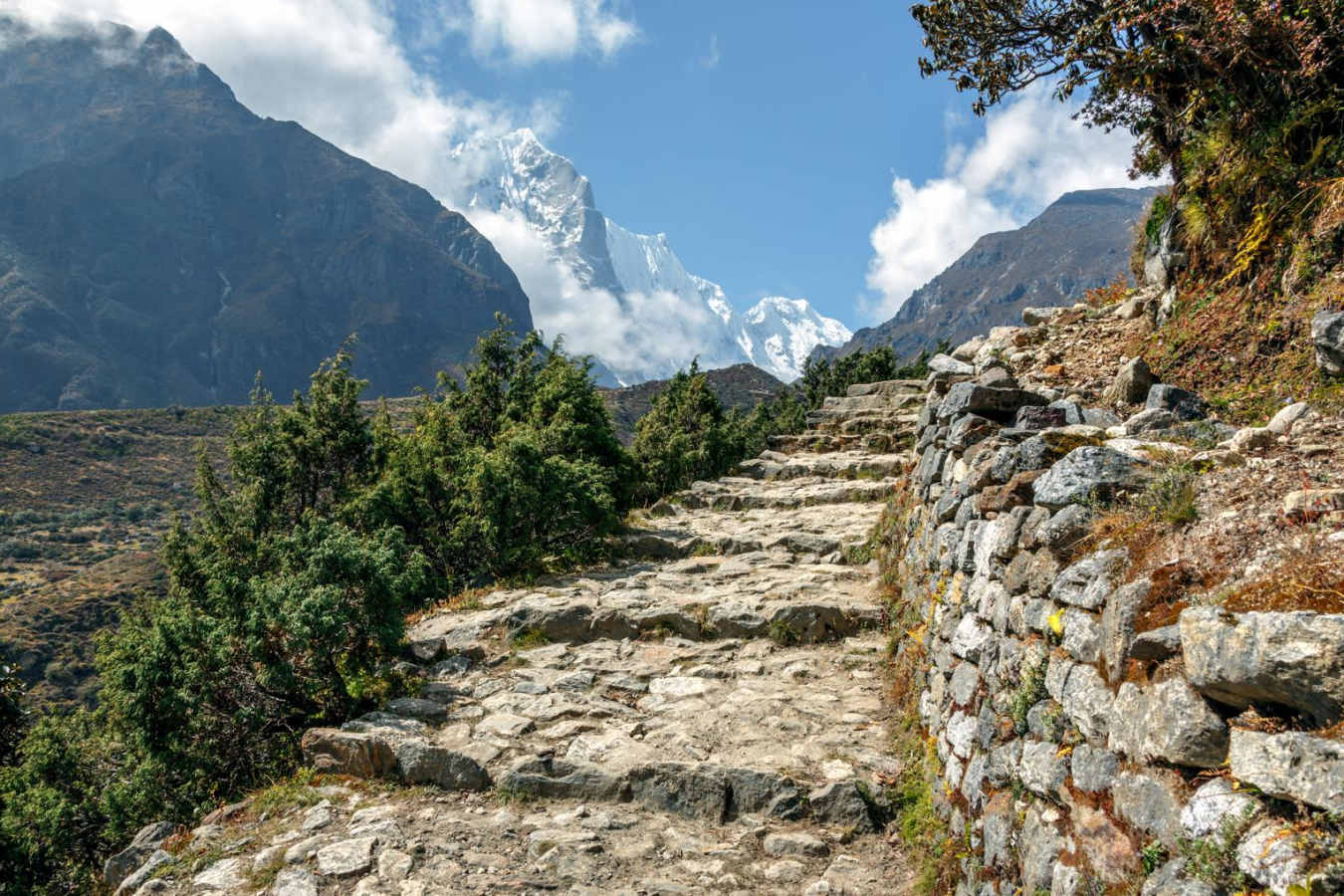 Wild Nepal