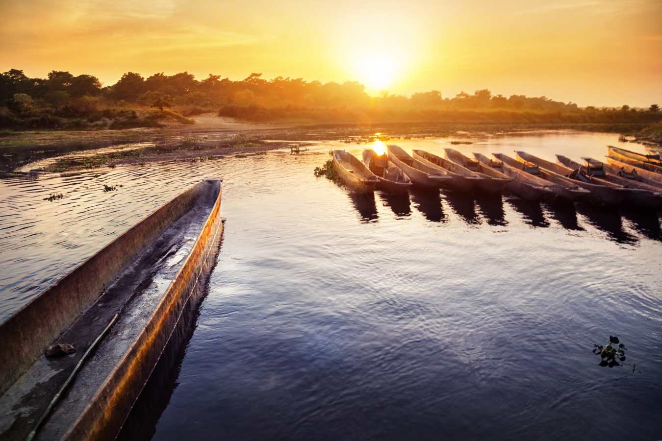 Rapti River in Chitwan National Park - Wild Nepal