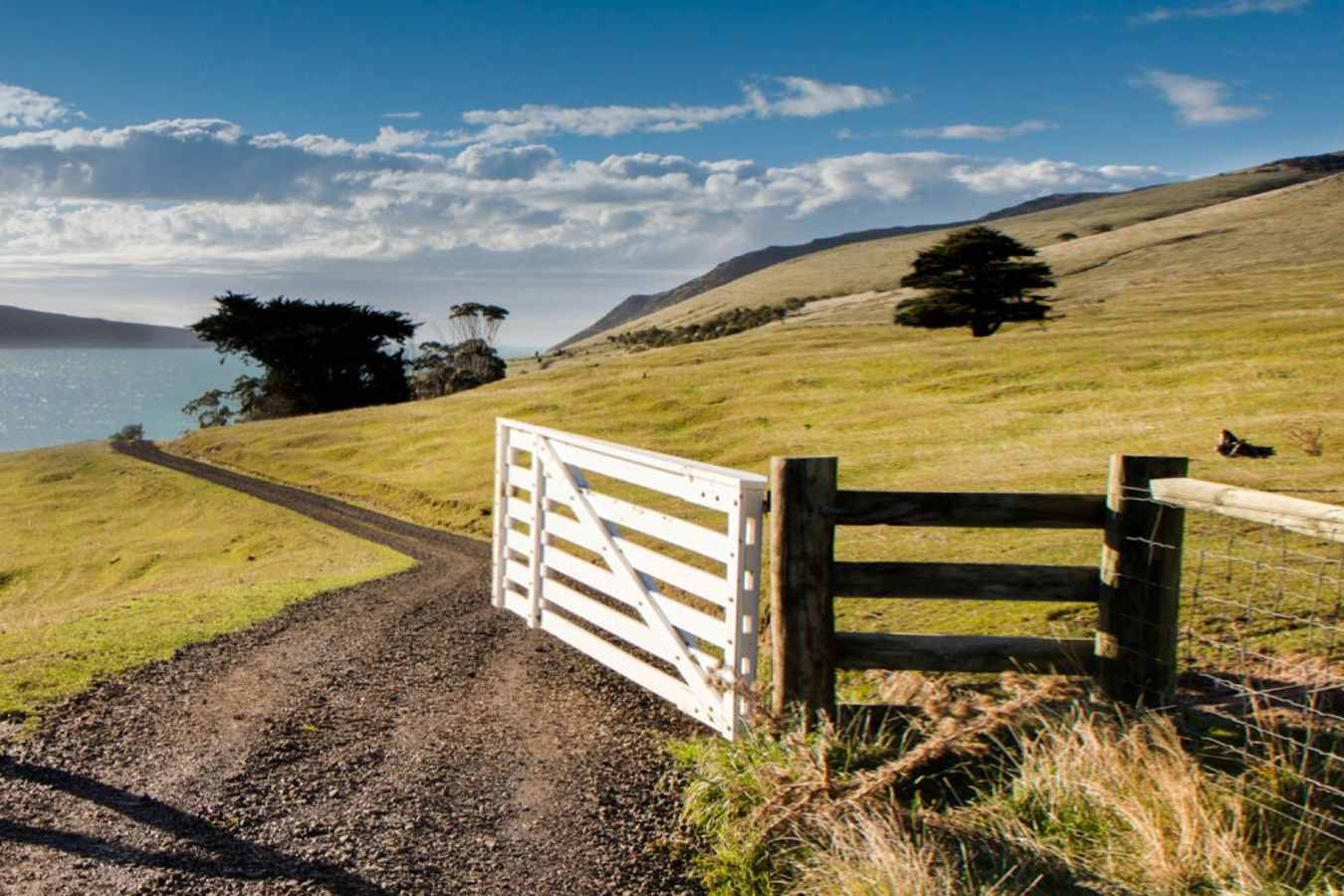 Explore - Annandale