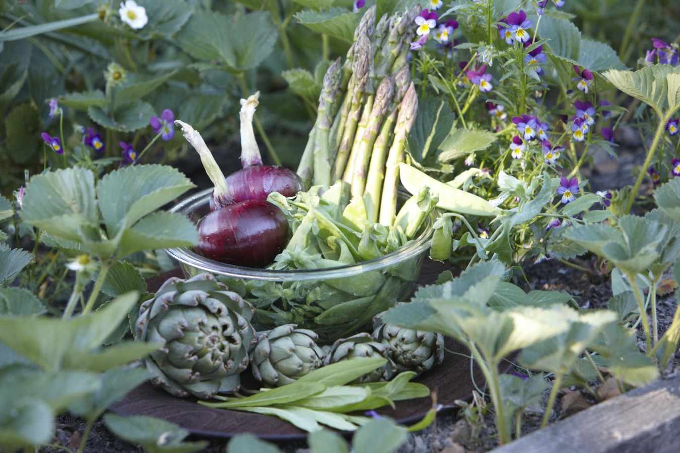 Vegetable Garden - Edenhouse