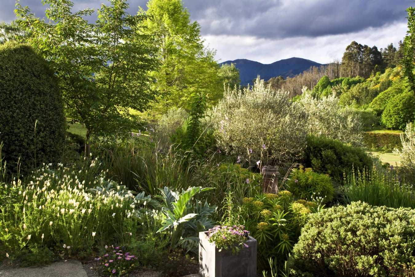 Lush, green gardens - Edenhouse