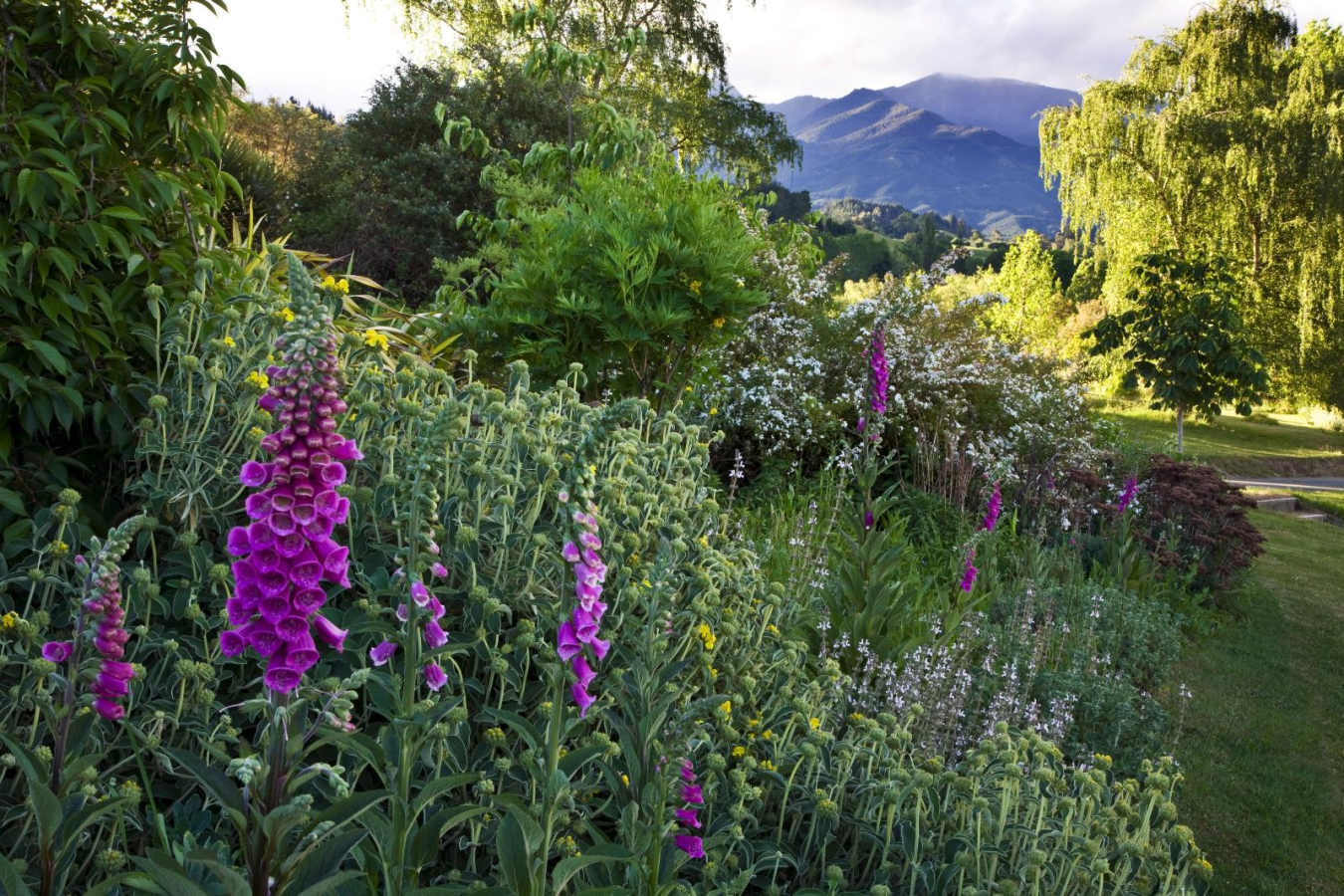 Views across the Orinoco Valley -  Edenhouse