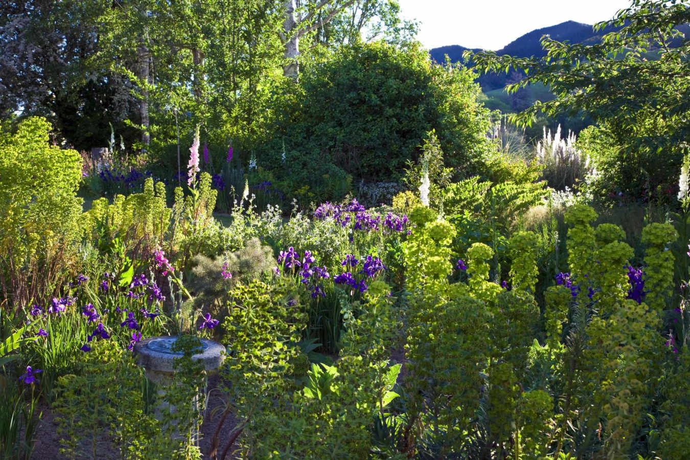 Gardens in bloom - Edenhouse