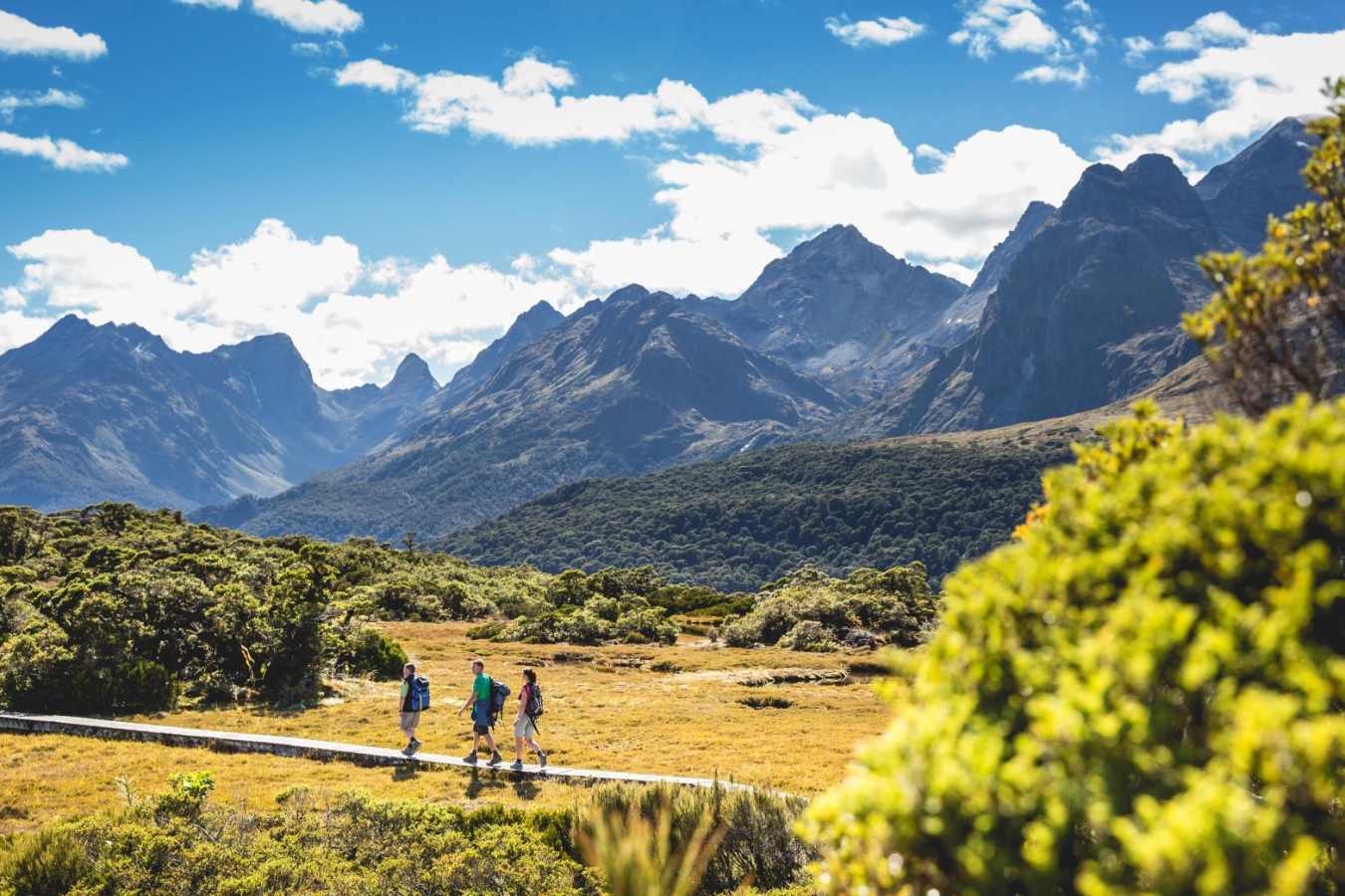 Landscape   - Fiordland Lodge