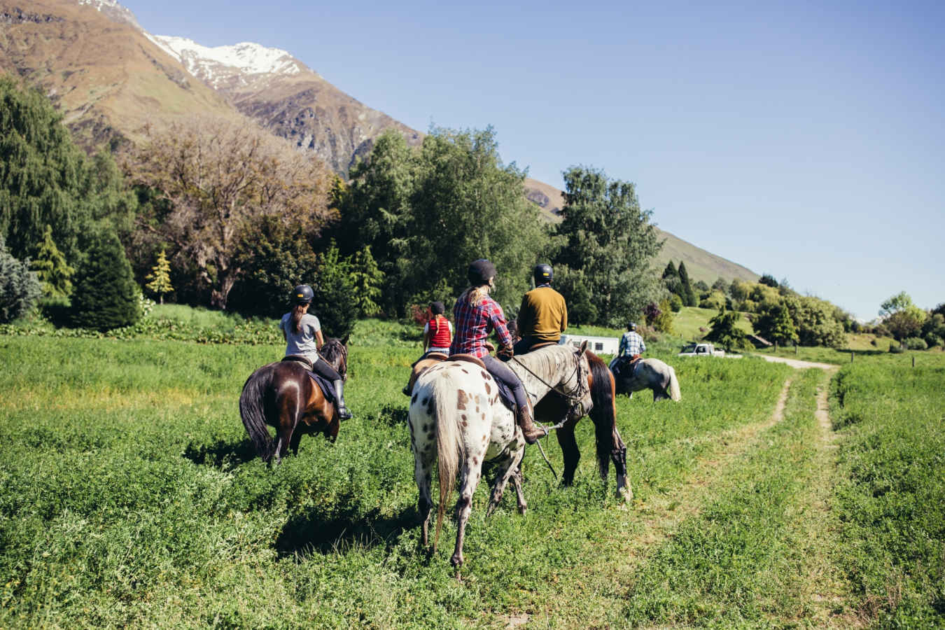 Horse Riding - Mahu Whenua Ridgeline Homestead & Eco Sanctuary