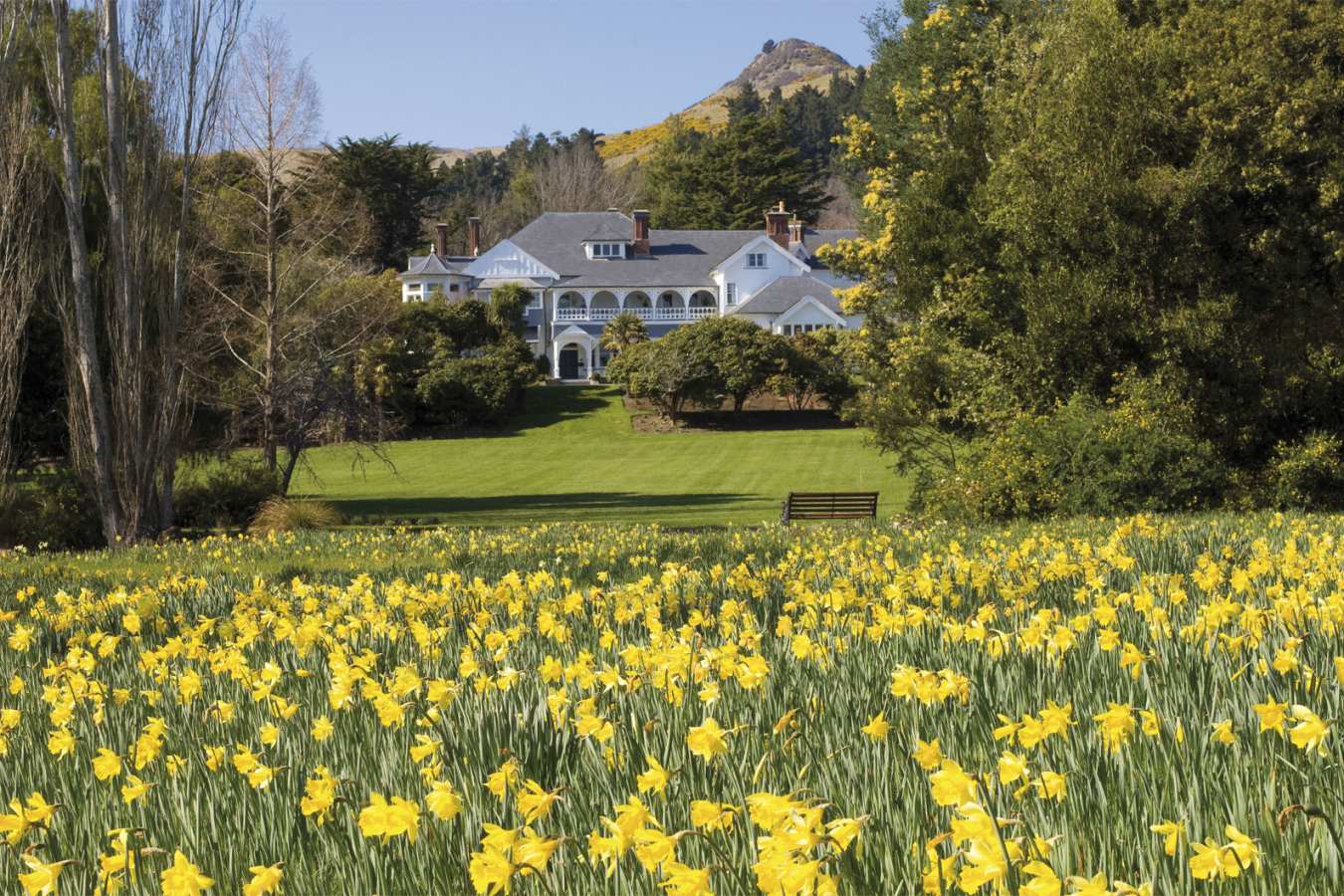 Exterior View in Spring - Otahuna Lodge