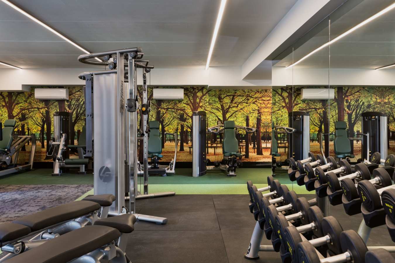 Gym - Sofitel Wellington