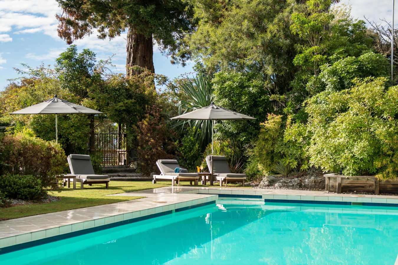 Swimming Pool - Te Koi the Lodge at Bronte