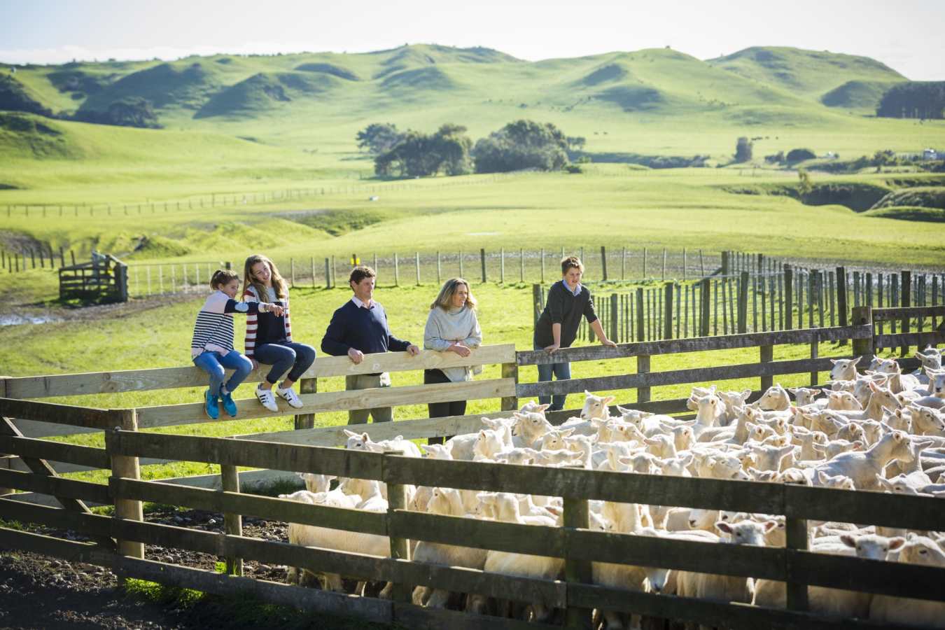 Shepherding Tour - The Farm at Cape Kidnappers
