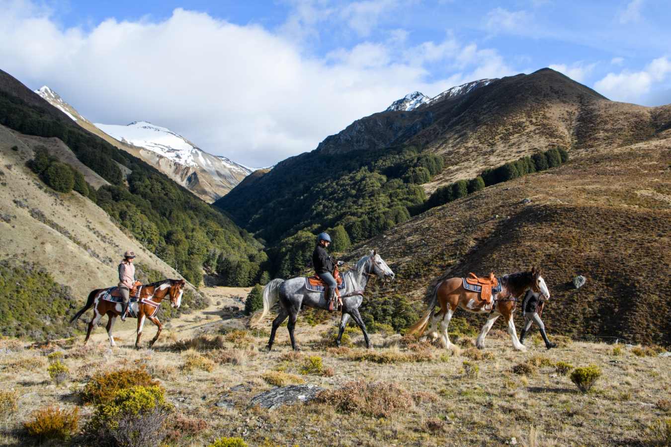 Horseriding from The Lindis