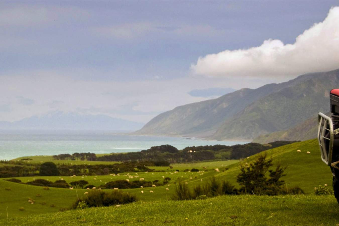 Explore by Quad Bike - Wharekauhau