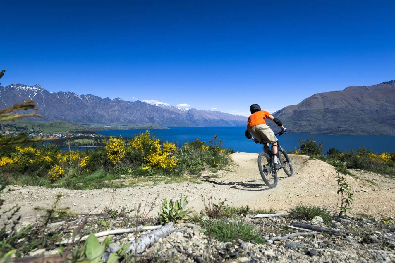 Cycling in Wanaka