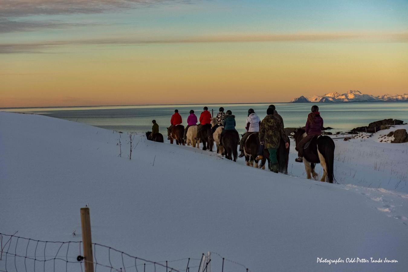 Horse riding - Svinøya Rorbuer