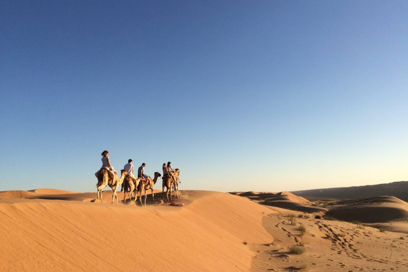Camel Ride into Camp - Canvas Club