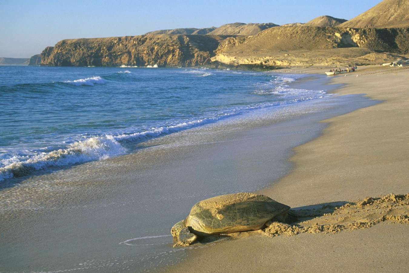 Beach - Ras al Jinz Turtle Reserve