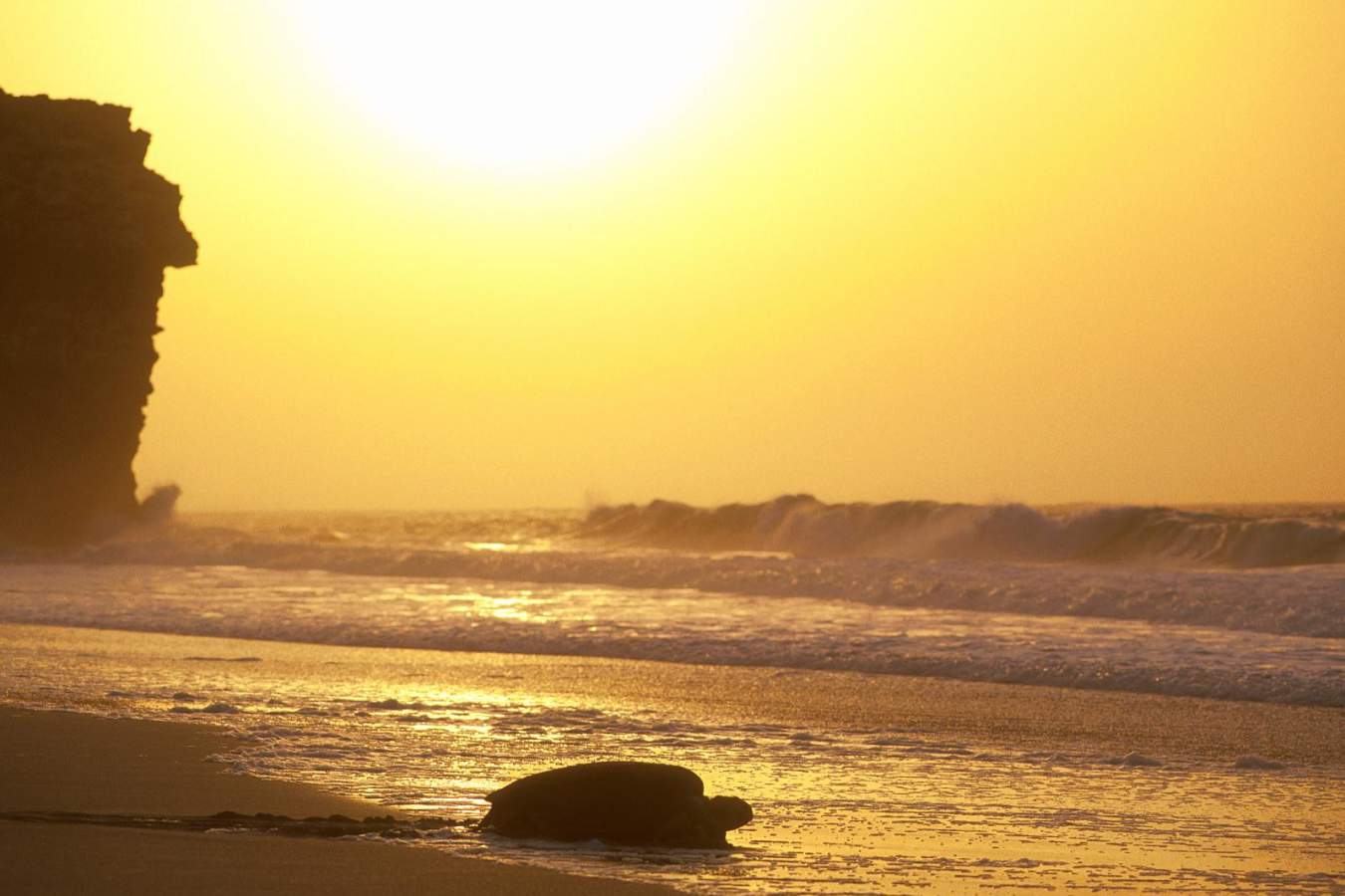 Sunset - Ras al Jinz Turtle Reserve