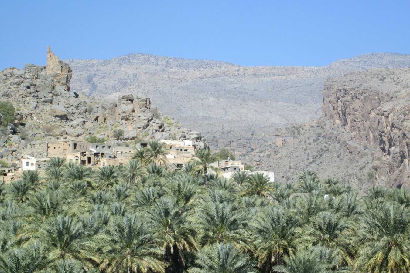 Active Oman