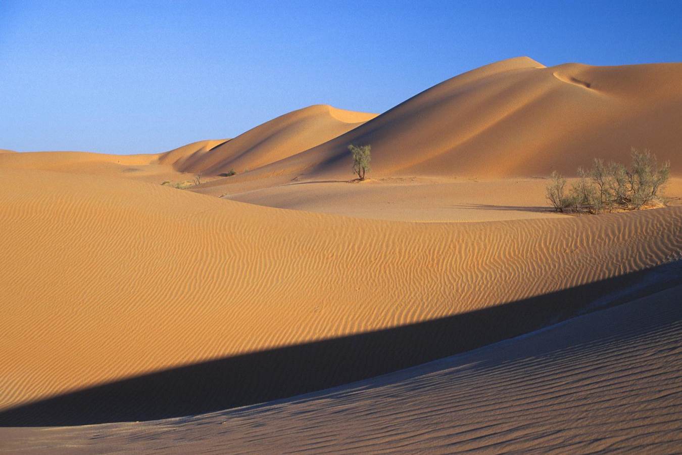 Luxury Oman Holidays - Wahiba Sands