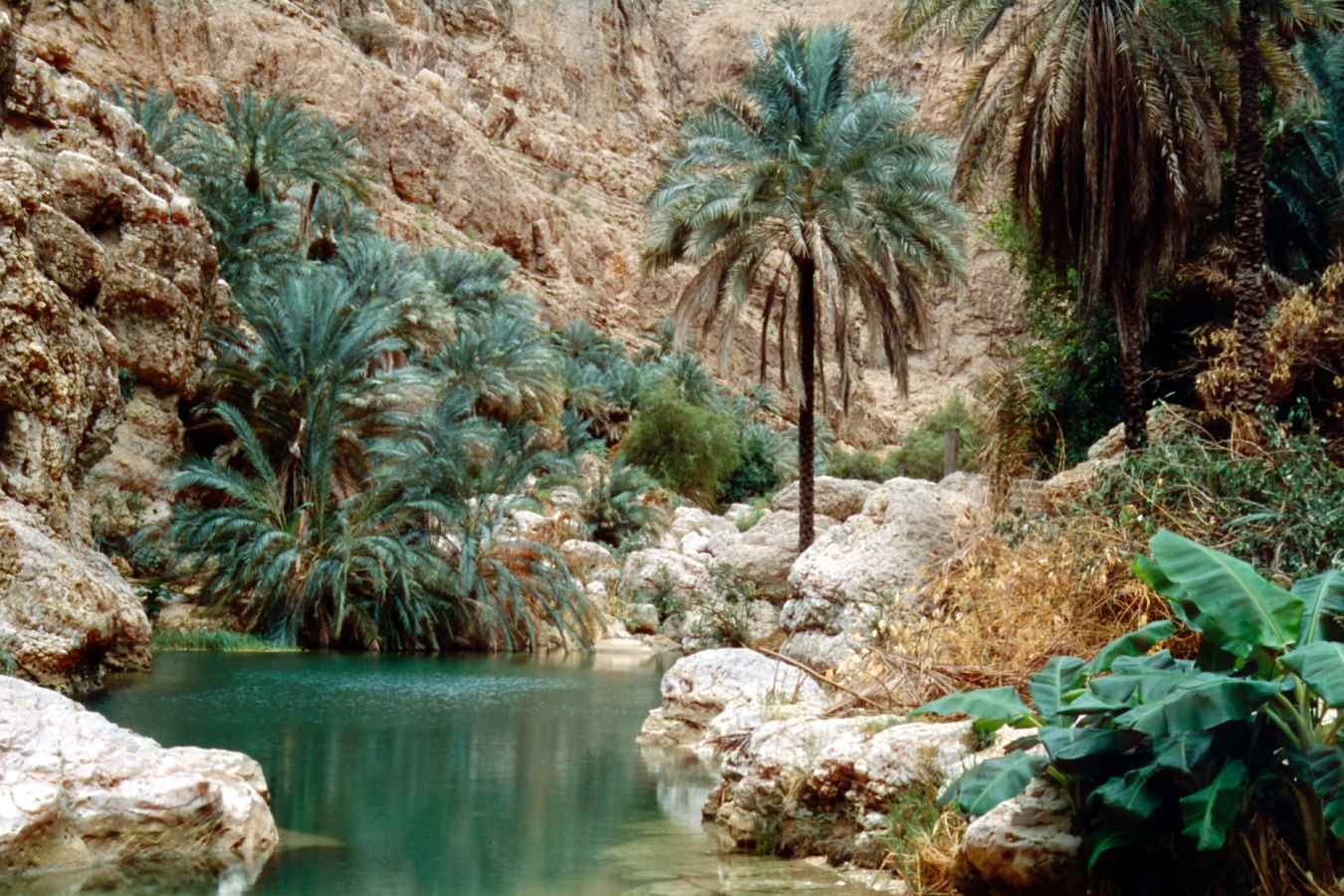 Mountains, Muscat and Beach
