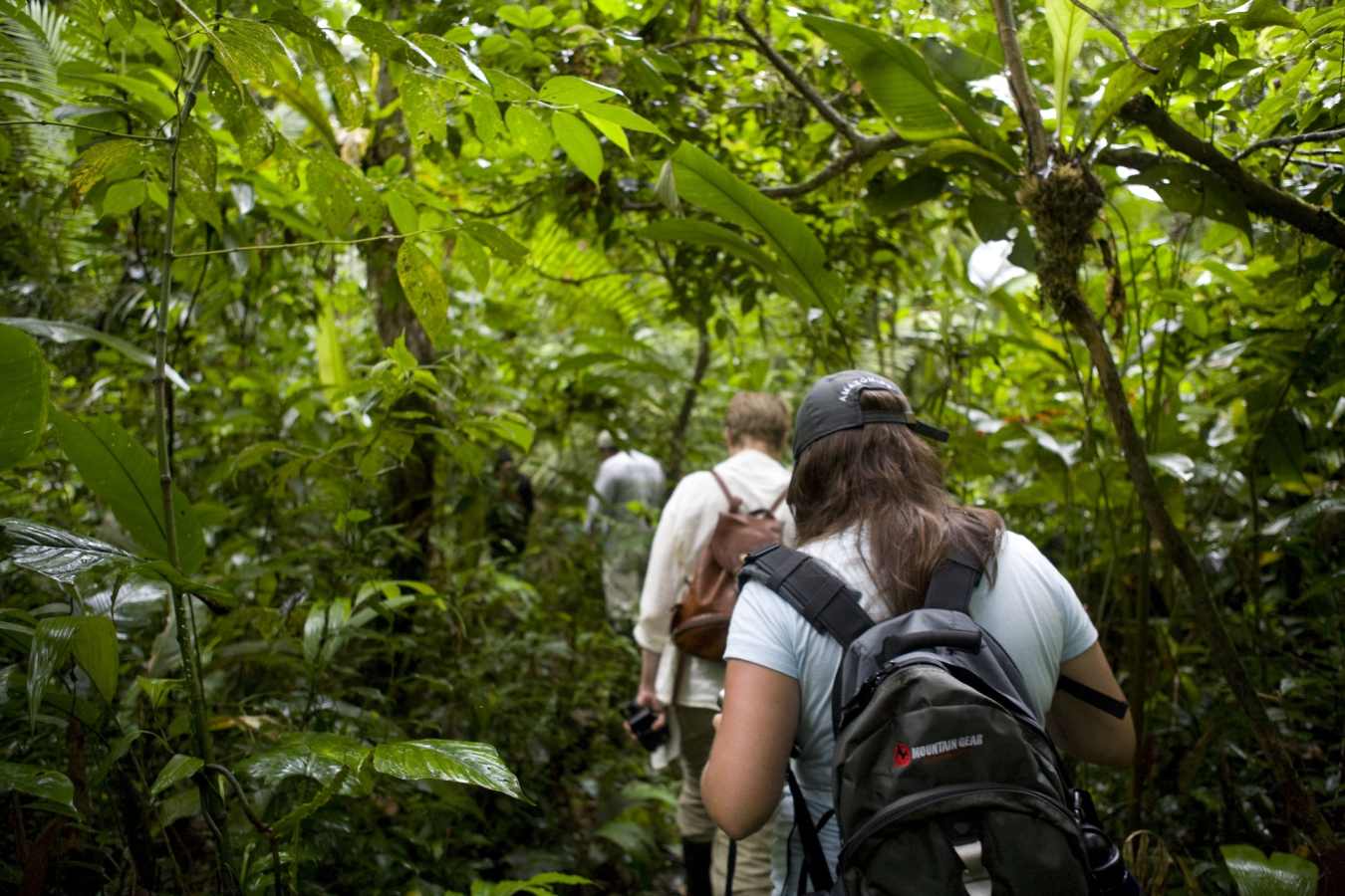 Jungle Trekking