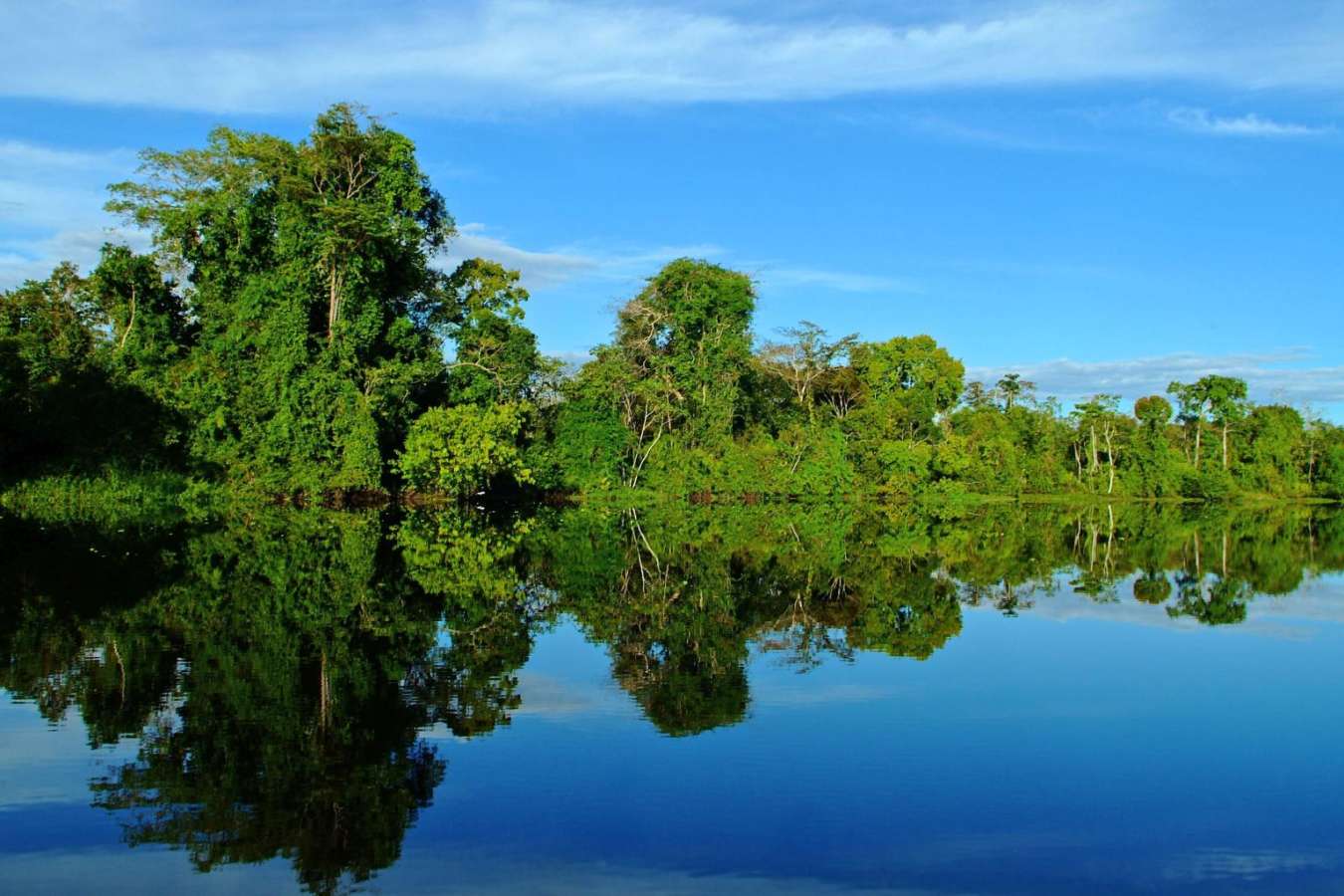 Amazon Scenery - Aria Amazon