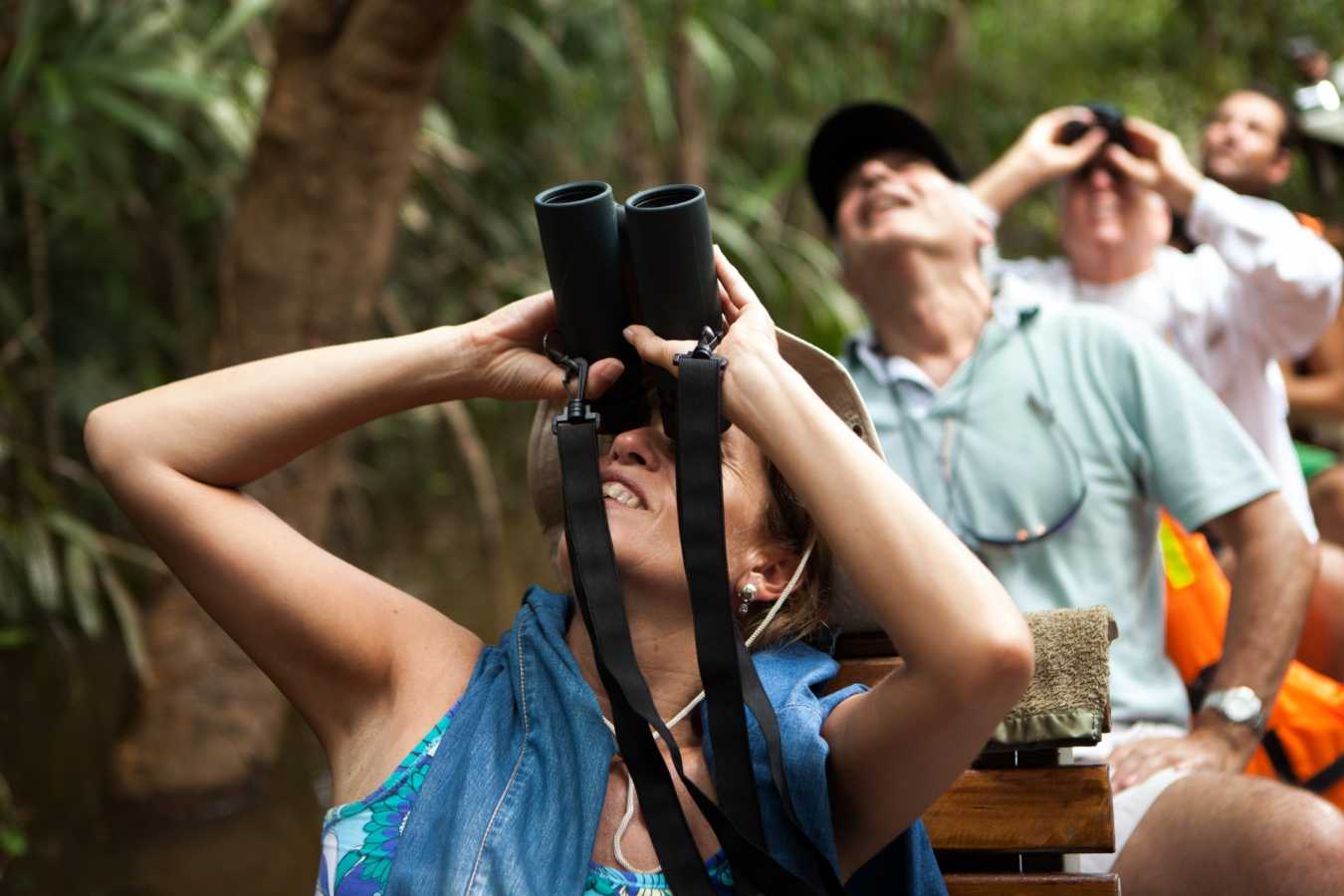 Wildlife spotting - Delfin III