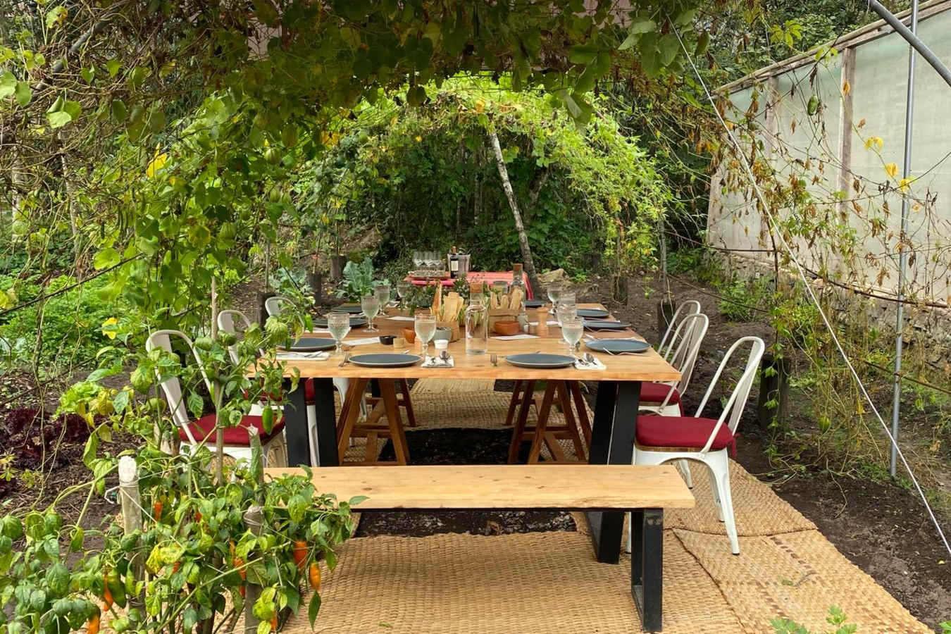  Garden Dining 
