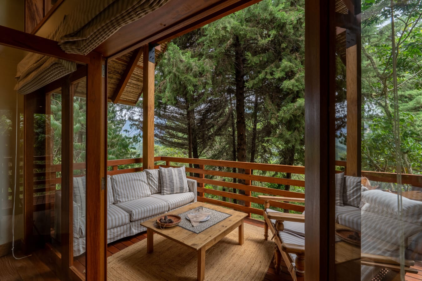  Cabin Bromelia 