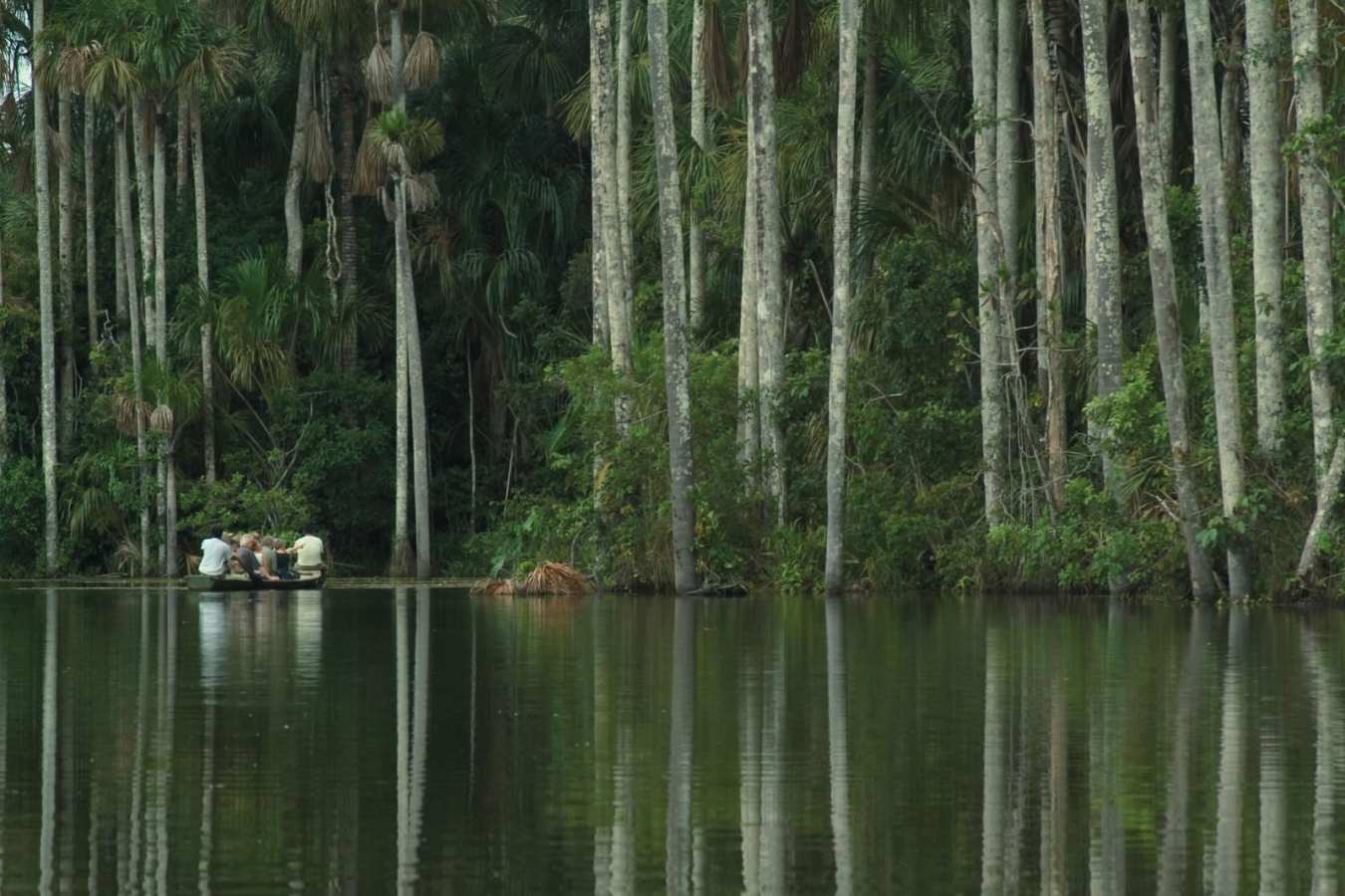 Jungle Excursions - Reserva Amazonica